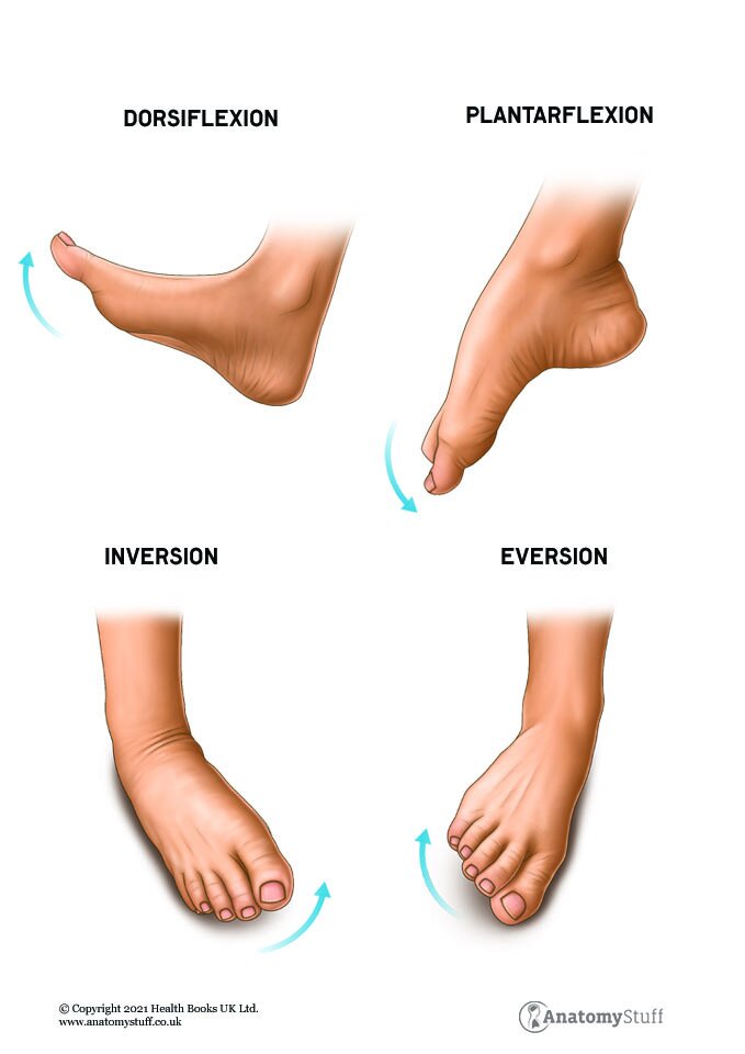 foot motions